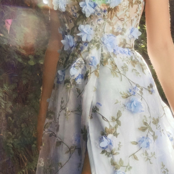 Pink,blue,blush, yellow floral long floor length a line lace up open back dress - Picture 7 of 10